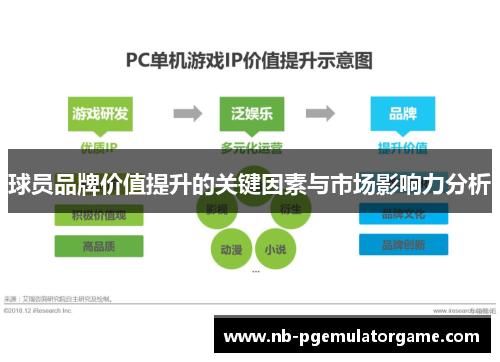 球员品牌价值提升的关键因素与市场影响力分析